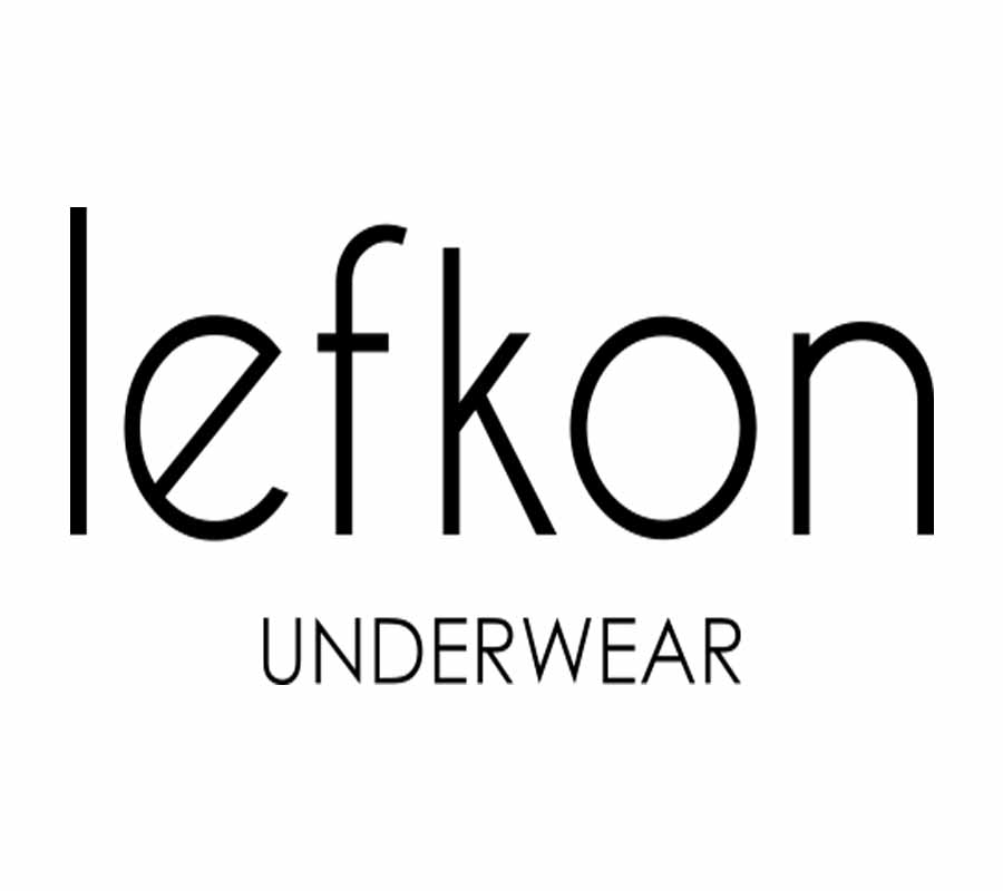 lefkon_logo.jpg